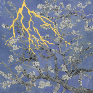 欧洲美女高清一级毛片
